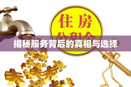 嘉陵揭秘服务背后的真相与选择