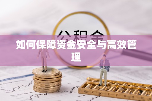 嘉陵如何保障资金安全与高效管理