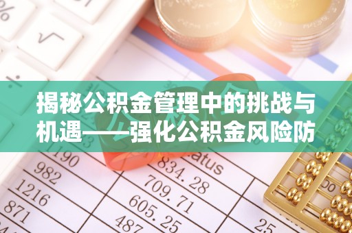 嘉陵揭秘公积金管理中的挑战与机遇——强化公积金风险防控的多维策略