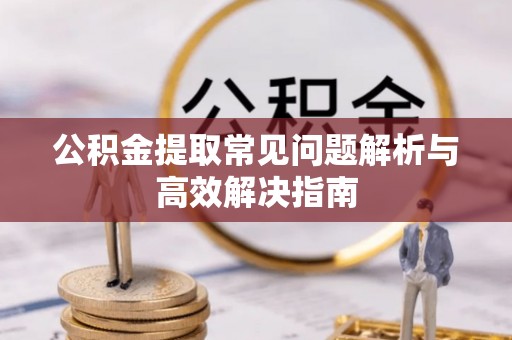 嘉陵公积金提取常见问题解析与高效解决指南
