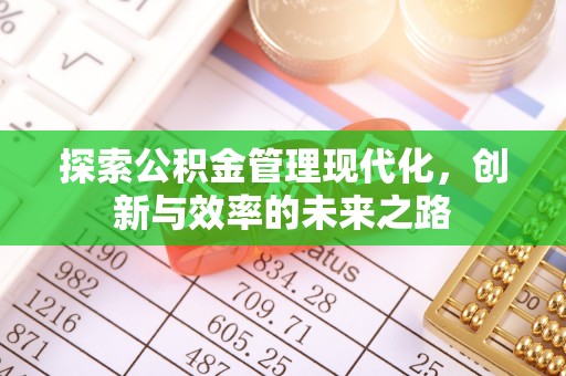 嘉陵探索公积金管理现代化，创新与效率的未来之路