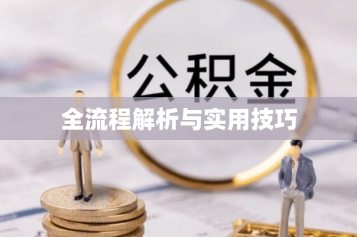 嘉陵全流程解析与实用技巧