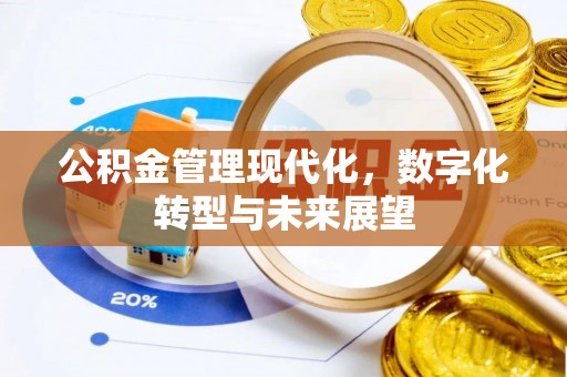 嘉陵公积金管理现代化，数字化转型与未来展望
