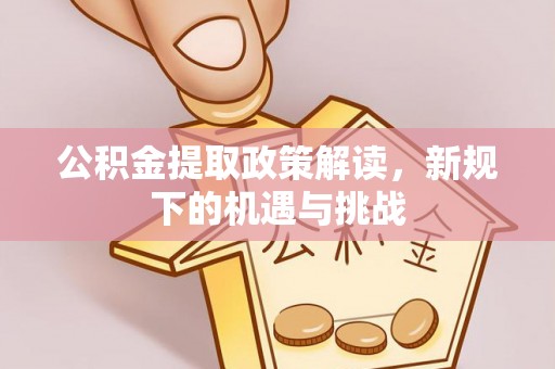 嘉陵公积金提取政策解读，新规下的机遇与挑战