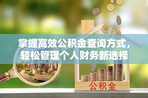嘉陵掌握高效公积金查询方式，轻松管理个人财务新选择