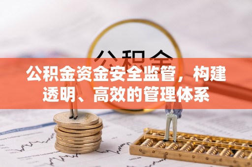 嘉陵公积金资金安全监管，构建透明、高效的管理体系