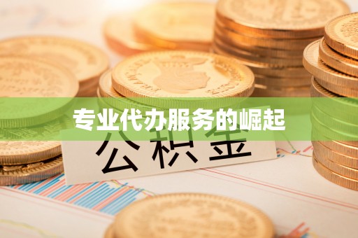 嘉陵专业代办服务的崛起