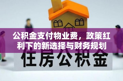 嘉陵公积金支付物业费，政策红利下的新选择与财务规划