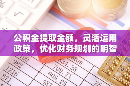 嘉陵公积金提取金额，灵活运用政策，优化财务规划的明智选择