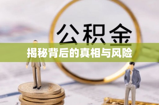 嘉陵揭秘背后的真相与风险