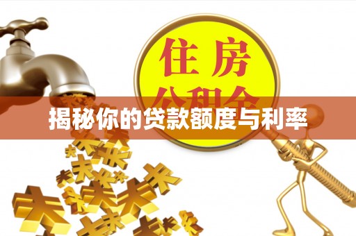 嘉陵揭秘你的贷款额度与利率