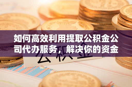嘉陵如何高效利用提取公积金公司代办服务，解决你的资金难题
