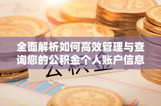 嘉陵全面解析如何高效管理与查询您的公积金个人账户信息