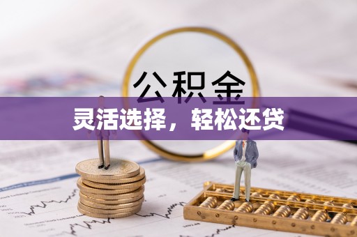 嘉陵灵活选择，轻松还贷