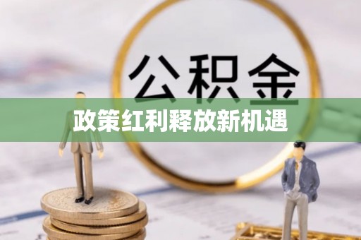 嘉陵政策红利释放新机遇