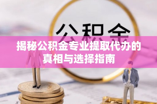 嘉陵揭秘公积金专业提取代办的真相与选择指南