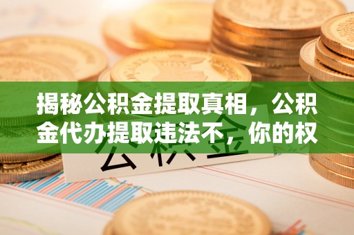 嘉陵揭秘公积金提取真相，公积金代办提取违法不，你的权益如何保障？