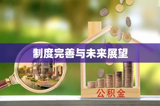 嘉陵制度完善与未来展望