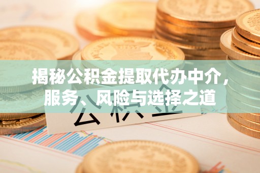 嘉陵揭秘公积金提取代办中介，服务、风险与选择之道