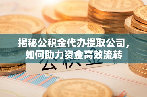 嘉陵揭秘公积金代办提取公司，如何助力资金高效流转