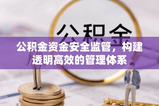 嘉陵公积金资金安全监管，构建透明高效的管理体系