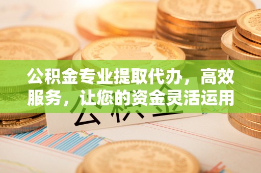 嘉陵公积金专业提取代办，高效服务，让您的资金灵活运用