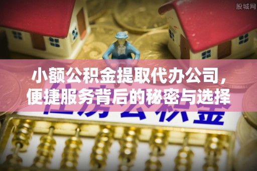 嘉陵小额公积金提取代办公司，便捷服务背后的秘密与选择指南