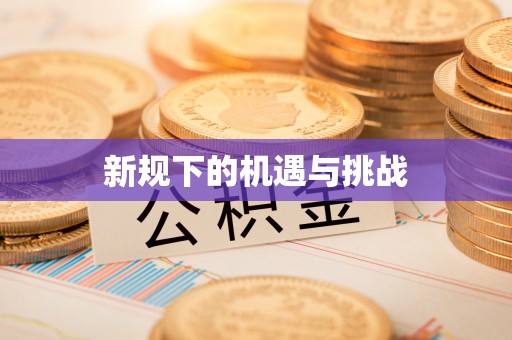 嘉陵新规下的机遇与挑战