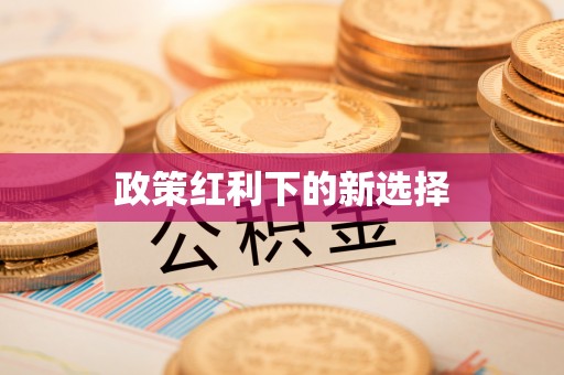 嘉陵政策红利下的新选择