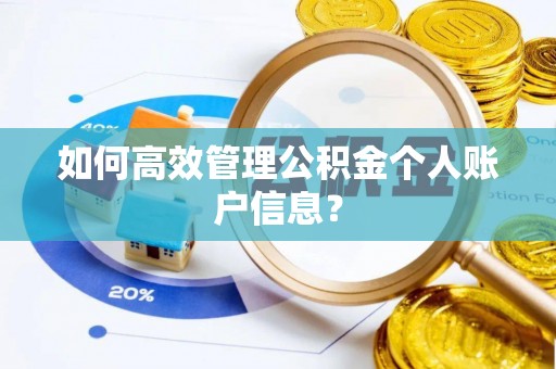 嘉陵如何高效管理公积金个人账户信息？