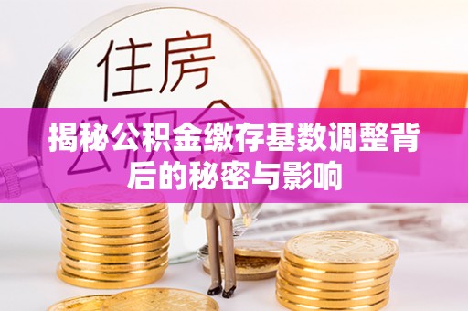 嘉陵揭秘公积金缴存基数调整背后的秘密与影响