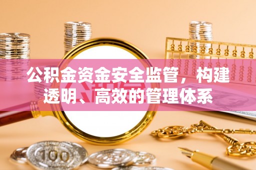 嘉陵公积金资金安全监管，构建透明、高效的管理体系