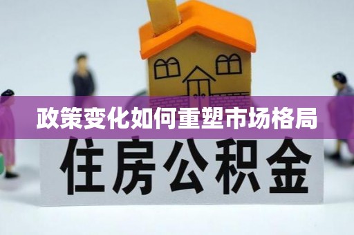 嘉陵政策变化如何重塑市场格局