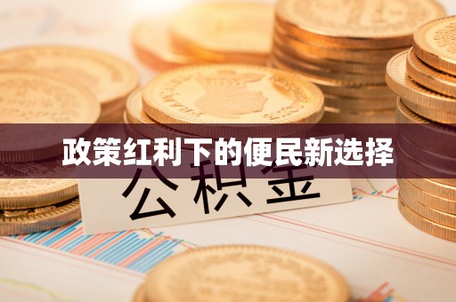 嘉陵政策红利下的便民新选择