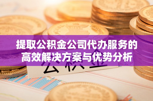 嘉陵提取公积金公司代办服务的高效解决方案与优势分析