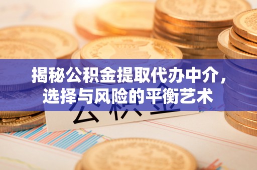 嘉陵揭秘公积金提取代办中介，选择与风险的平衡艺术