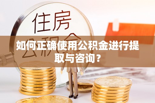 嘉陵如何正确使用公积金进行提取与咨询？