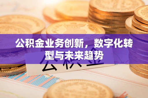 嘉陵公积金业务创新，数字化转型与未来趋势