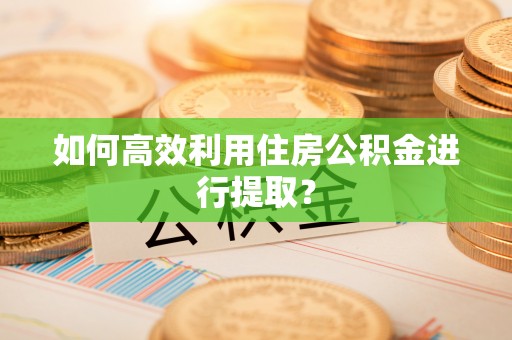 嘉陵如何高效利用住房公积金进行提取？