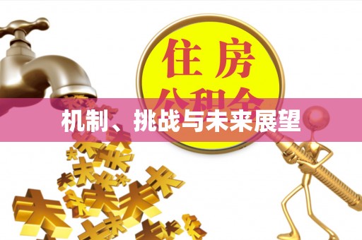 嘉陵机制、挑战与未来展望