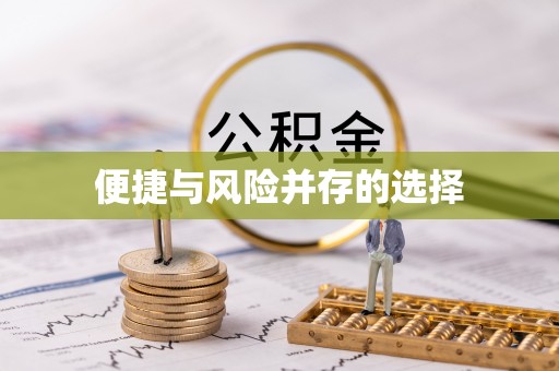 嘉陵便捷与风险并存的选择