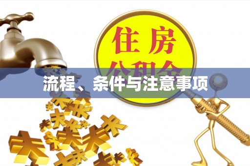嘉陵流程、条件与注意事项